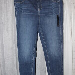 Torrid Blue Skinny Jeans with Subtle Fading